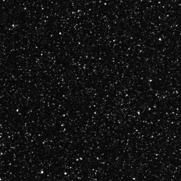 Mantrapskies.com Astronomical Image Catalog: NovaSagittarius2012No4